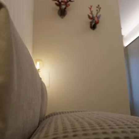 Empatia Centro 招待所